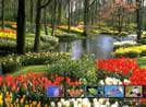 Signs of Allah in the colorful nature