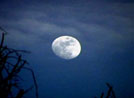 The Moon